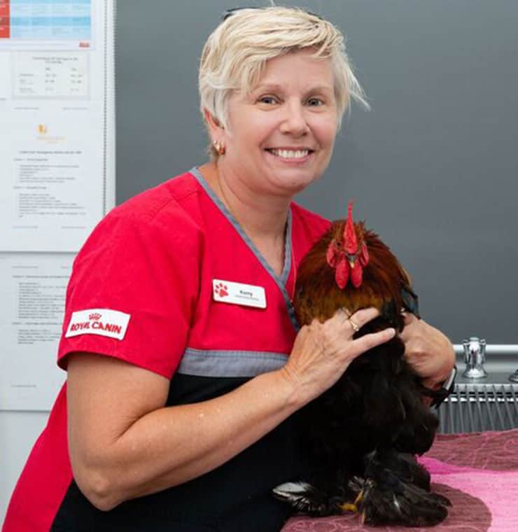 Kerry Cairns in scrub suit holding a rooster