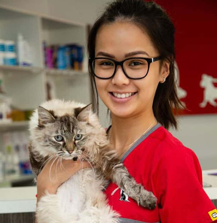 A veterinarian in scrub suit holding a cat